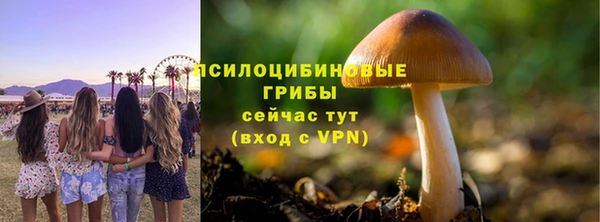 прущая мука Покачи
