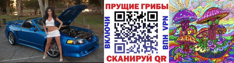 закладка  Хвалынск  shop Telegram  Галлюциногенные грибы мухоморы 